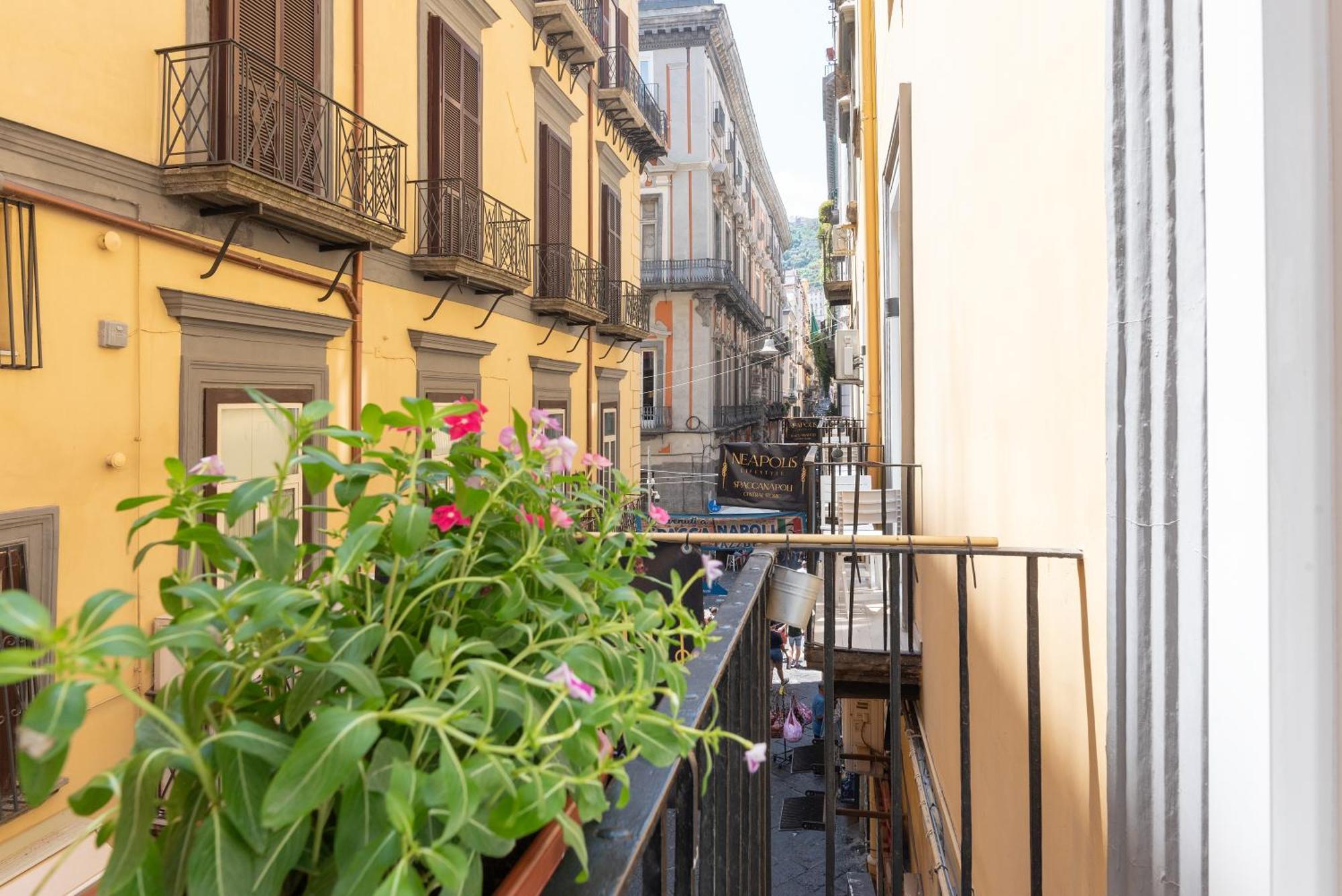 Neapolis Lifestyle Bed & Breakfast エクステリア 写真