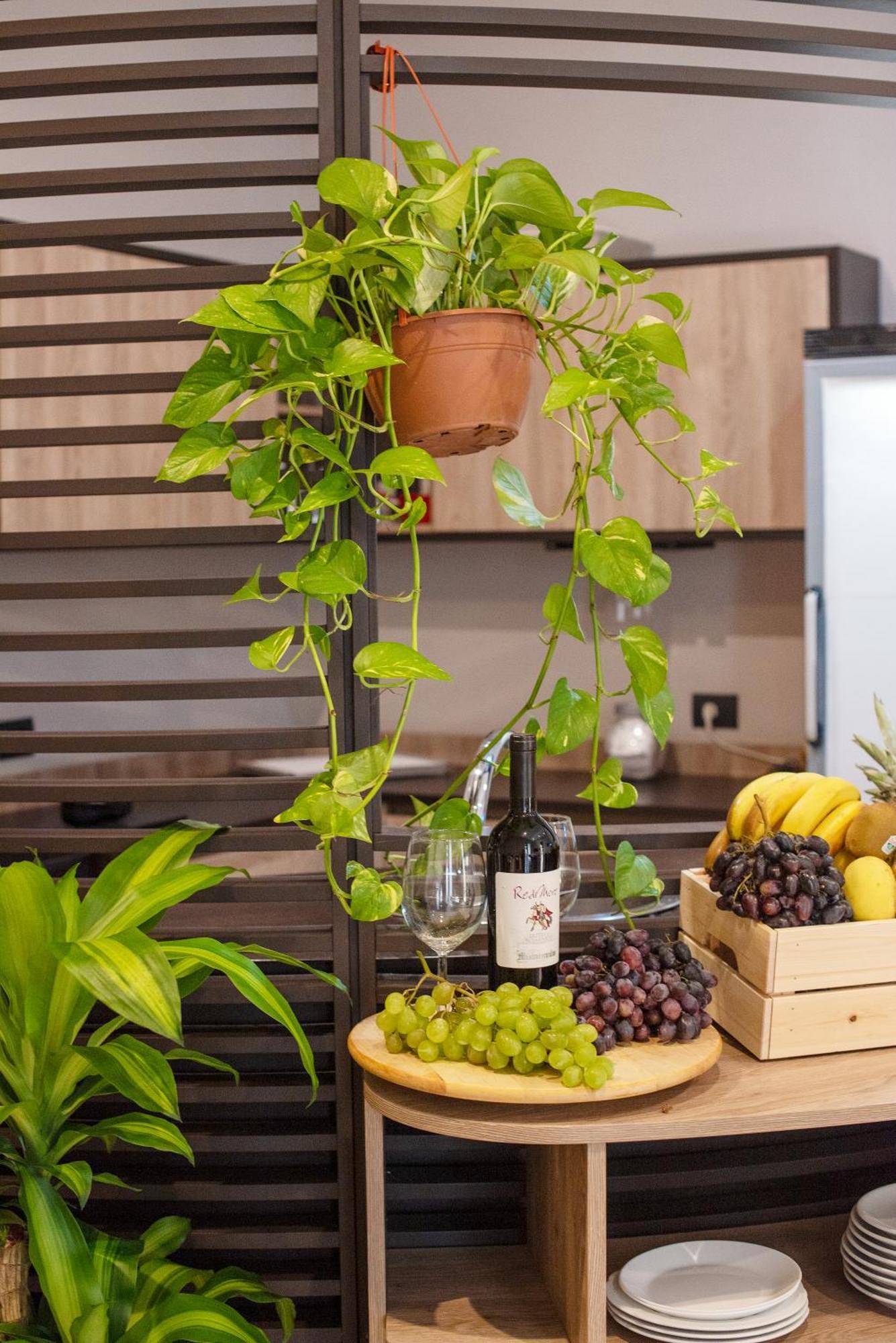 Neapolis Lifestyle Bed & Breakfast エクステリア 写真